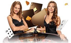 pgdata bet pgdata bet